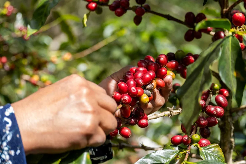 La finca en Salgar, a 1.750 metros