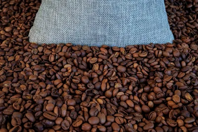 Granos de café recién tostados